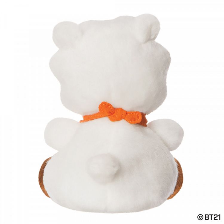 PALM PALS BT21 RJ Soft Toy 13cm/5in