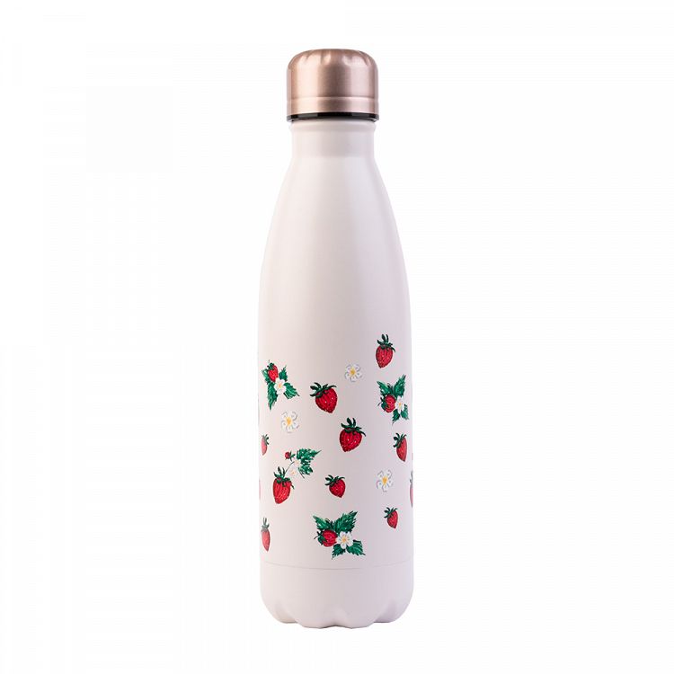 Premium Metallic Bottle Hot&Cold 500ml ANA MARIN