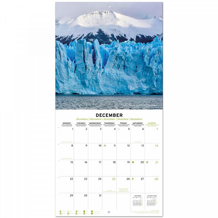 Wall Calendar 2025 30X30cm NATURE