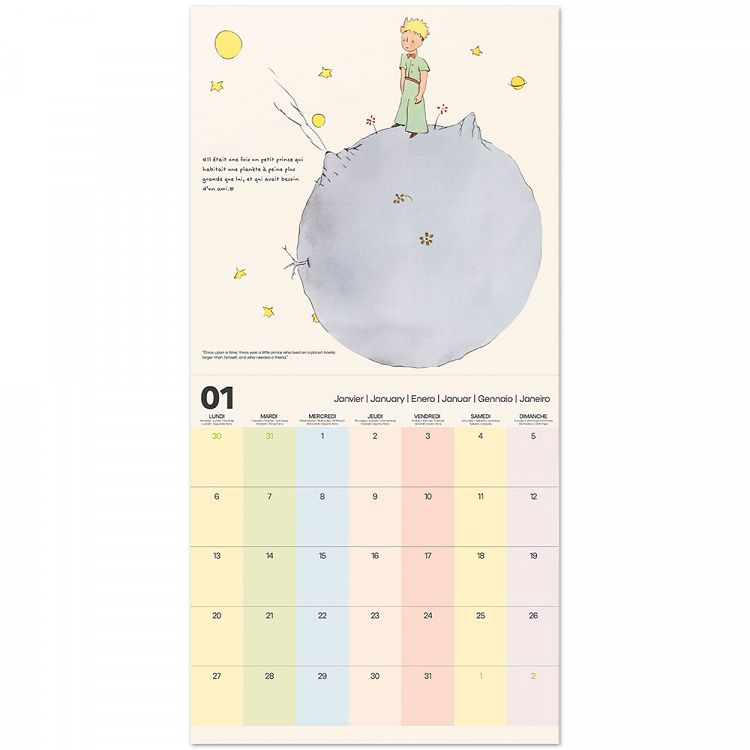 Wall Calendar 2025 30X30cm THE LITTLE PRINCE