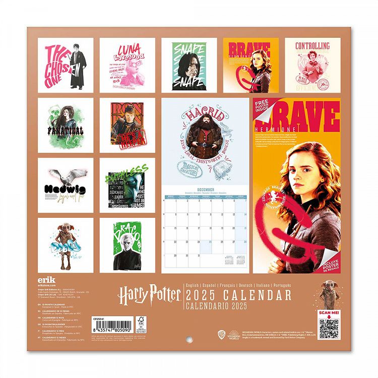 Wall Calendar 2025 30X30cm HARRY POTTER