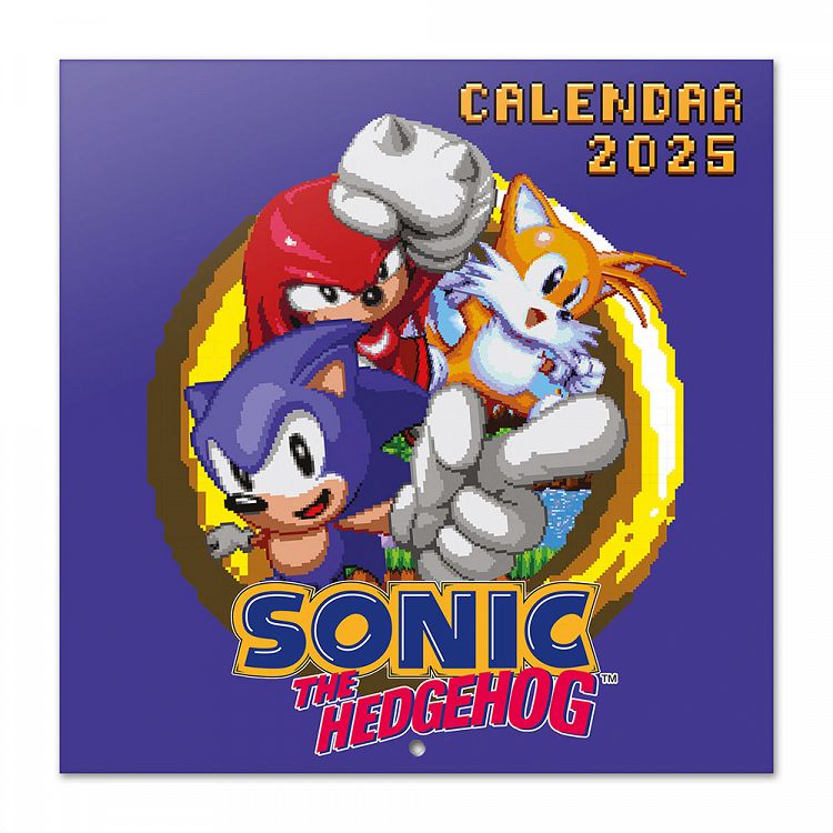 Wall Calendar 2025 30X30cm SONIC