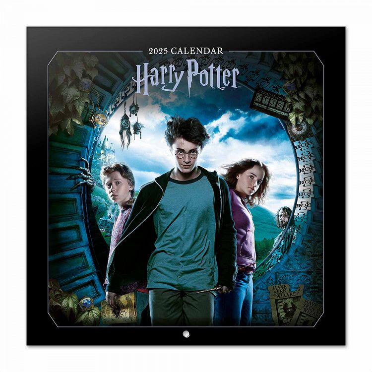 Wall Calendar 2025 30X30cm HARRY POTTER Films