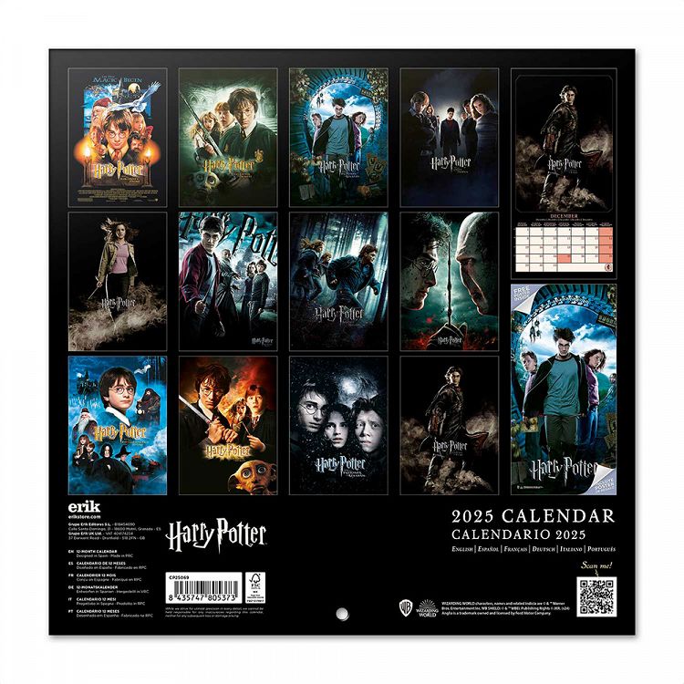 Wall Calendar 2025 30X30cm HARRY POTTER Films