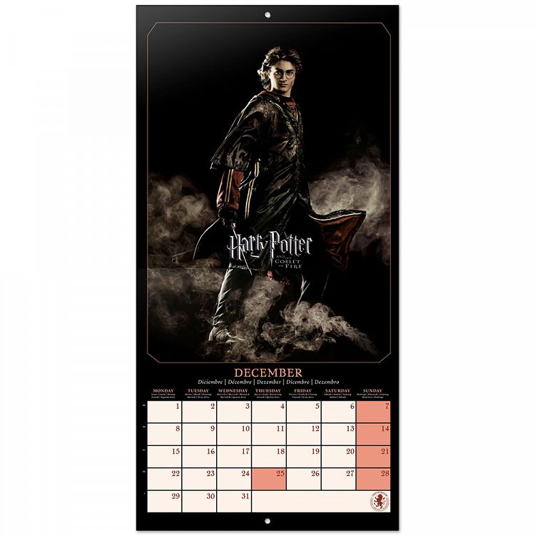 Wall Calendar 2025 30X30cm HARRY POTTER Films