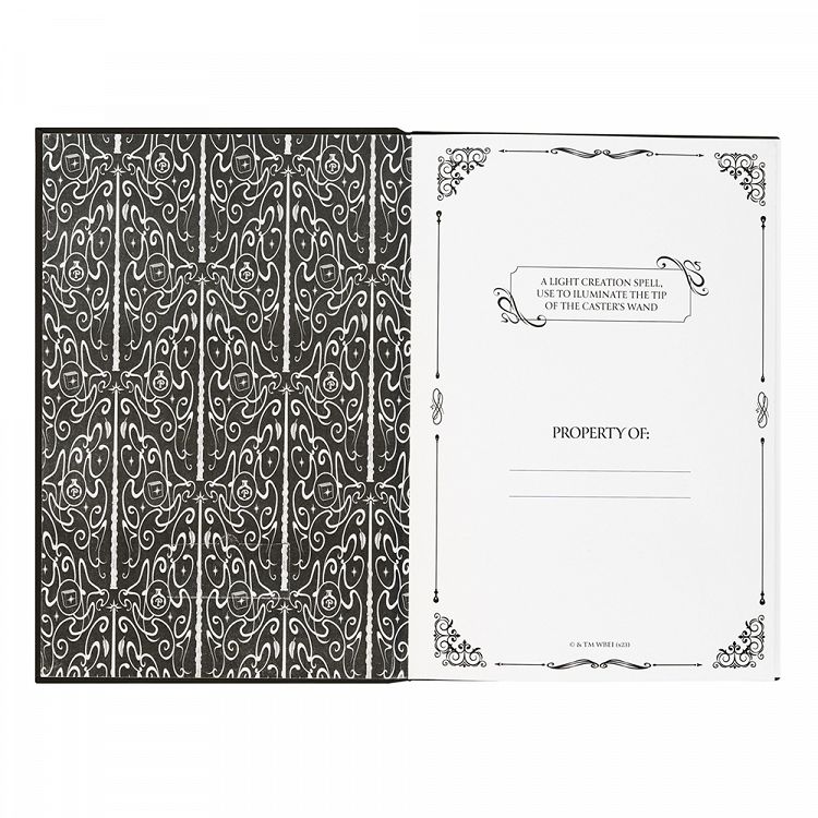 Premium Notebook A5 with Magic Wand-Pen HARRY POTTER Lumos Maxima