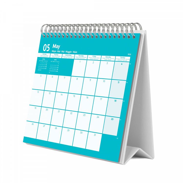 Deluxe Desk Calendar 2025 TRIPS