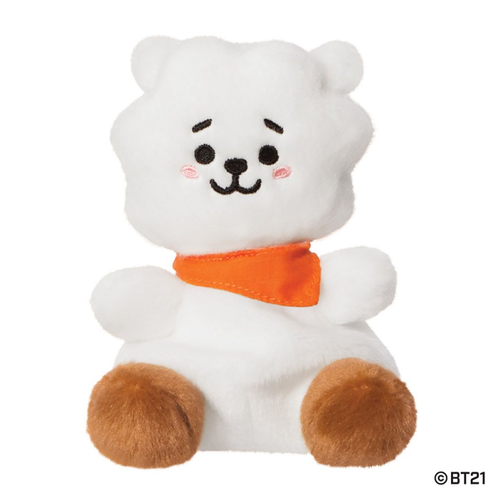 PALM PALS BT21 RJ Soft Toy 13cm/5in