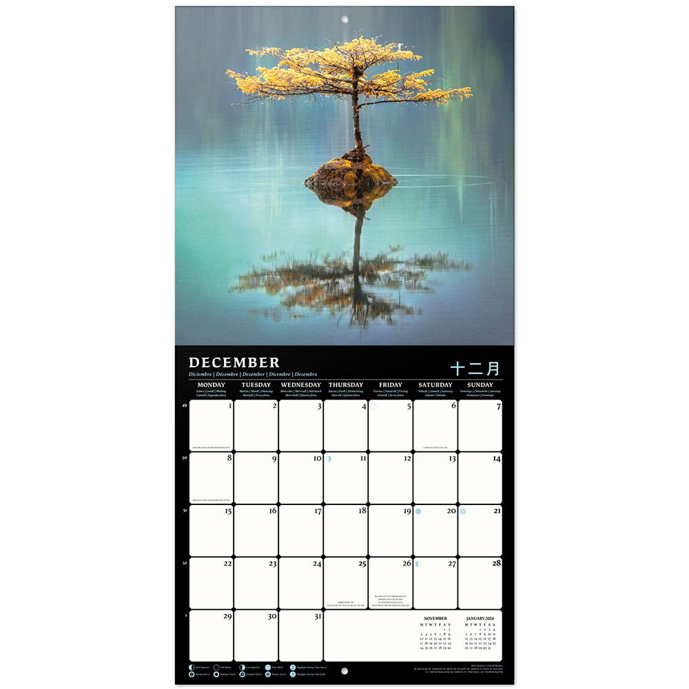 Wall Calendar 2025 30X30cm FENG SHUI