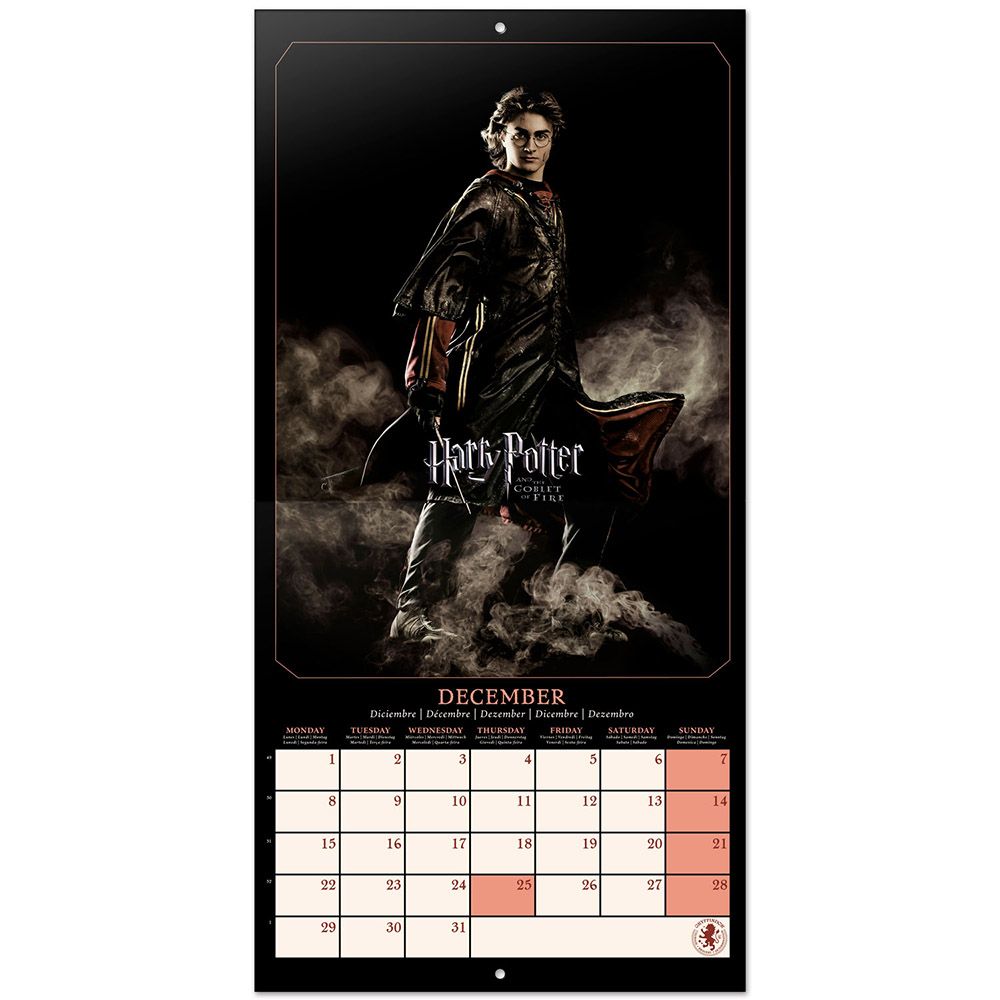 Wall Calendar 2025 30X30cm HARRY POTTER Films