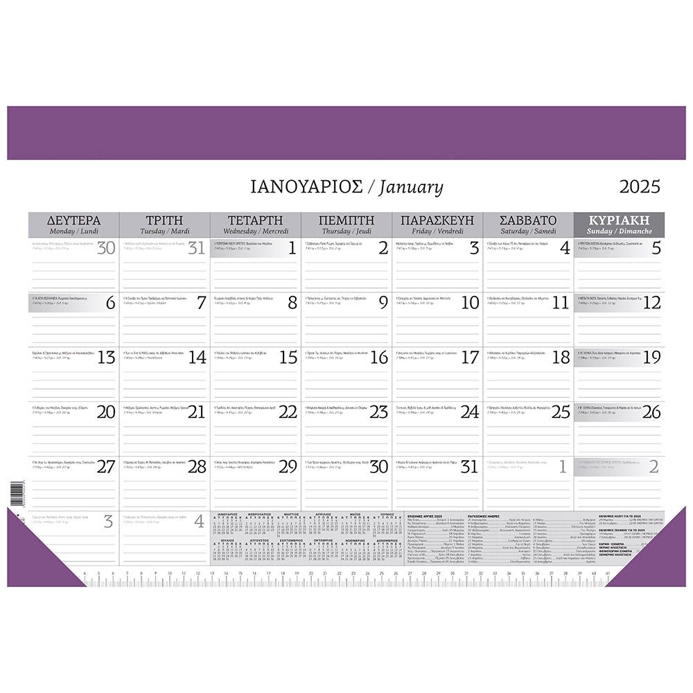 Monthly Planner 2025 49Χ34 12 sheets Purple